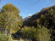 SAM_0711g