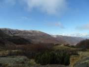 SAM_0736g