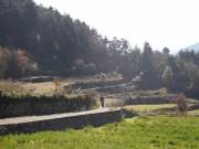 SAM_0822g