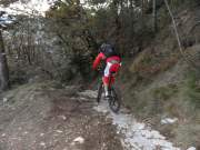 SAM_0852g