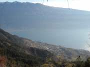 SAM_0862g