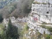 SAM_1695g