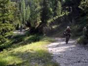 SAM_2061g