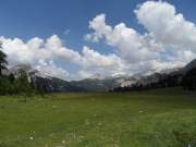 SAM_2085g
