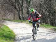 sam_2312-750