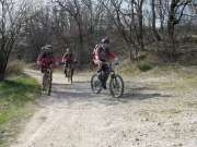 sam_2316-750