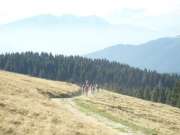 sam_2293-750