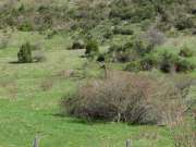 tiravento-monte-cucco-free-ride-004-800