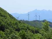 img_0299-800