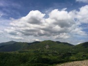 img_0310-803