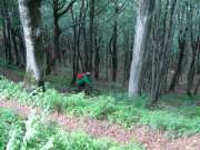 sam_2503-750