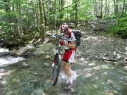 sam_2506-750