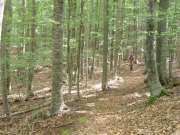 sam_2492-750