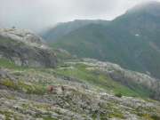 DSCN4056-750