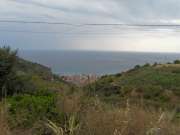 SAM_2653-750