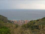 SAM_2654-750