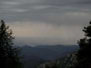 SAM_2608-750