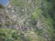 SAM_2615-750