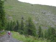 SAM_2609-750