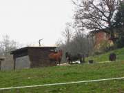 IMG_0633-800