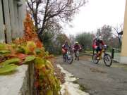 IMG_0638-800