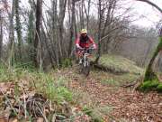 IMG_0674-800