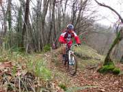 IMG_0675-800