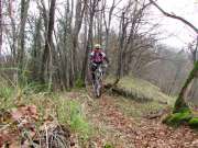 IMG_0677-800