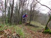 IMG_0681-800