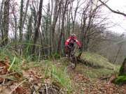 IMG_0684-800