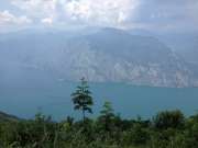 IMG_3954-800