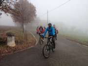 IMG_2418-800