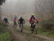 IMG_2481-800