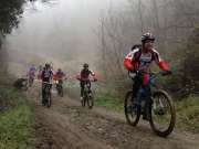 IMG_2486-800