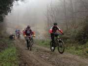 IMG_2487-800