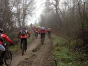 IMG_2489-800