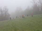 IMG_2498-800