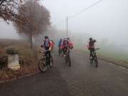 IMG_2417-800-800