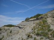 DSCN0923-800