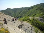 DSCN0927-800