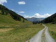 SAM_3079-750