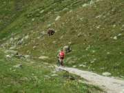 SAM_3109-750