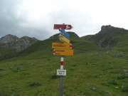 SAM_3117-750
