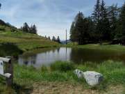 SAM_3190-750