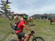 SAM_3196-750