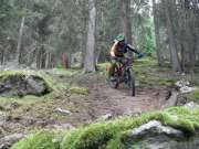 SAM_3217-750