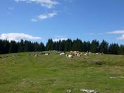 P1050316-800
