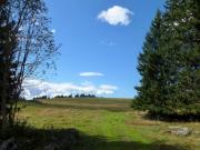 P1050325-800