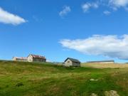 P1050327-800