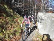 P1050834-800_2_Simone